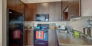 Element 170 Gallery 16