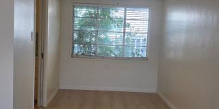 2904 Sunset Ave - Apartment Gallery 10