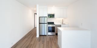 Telegraph Hill Gallery 26