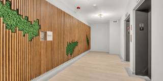 McClaren Gallery 131