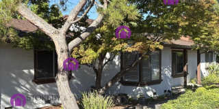 1257 Cougar Lane Gallery 2