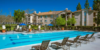 Central Park Gallery 20