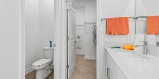18542 Serene Lake Loop Gallery 48