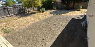 Bright 3 Bedroom 1 Bath in NW Corvallis ~ Small Dogs Welcome! Gallery 19