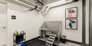 Byline Apartments Gallery 34