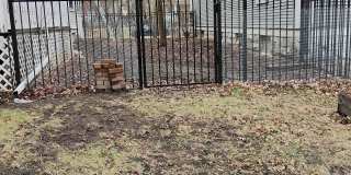 1407 North Girard Avenue Gallery 15