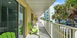 Dolphin Beach Gallery 18