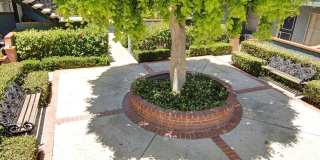 Casa de Helix Apartments Gallery 77