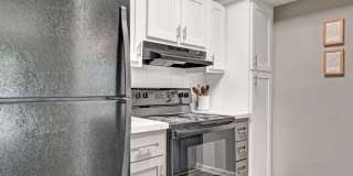 Triangle Place Gallery 4