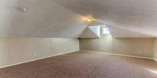 11296 Bullseye Street Gallery 25