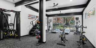 5225 Maple Avenue Gallery 24