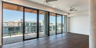 The Village Drey Gallery 2