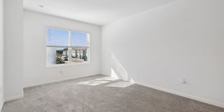 6356 Sophie Oaks Court Gallery 10