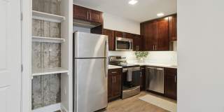 The Phoenix Gallery 4