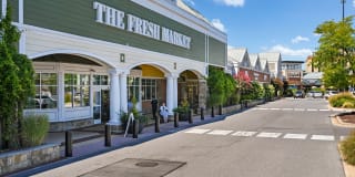 The Stories Gallery 45