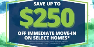 Russian Jack Gallery 2