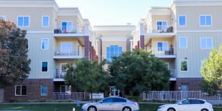 The Mercer Gallery 23