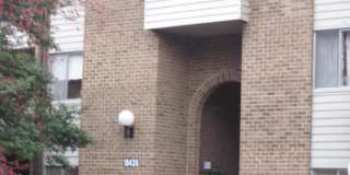 19439 BRASSIE unit: 301 Gallery 1