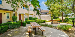 2703 Apricot Ct Gallery 25