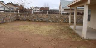 11008 Rogers Hornsby Gallery 28
