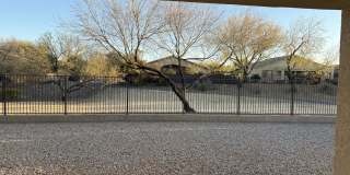 12468 N Sandby Green Dr Gallery 43