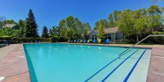 Rocklin Ranch Gallery 36