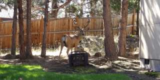 1133 NE Hidden Valley Drive # A-D 1133 NE Hidden Valley Drive # A-D Gallery 5