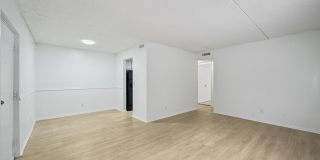 Marco Meadows Gallery 14