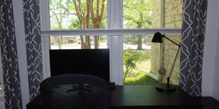 Hyde Park Country Condo - Furnished - 1BD/1BA - Covered Parking -Close to Everything Gallery 20