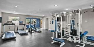 Grand Hampton Gallery 6