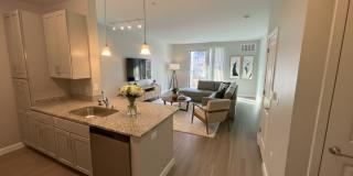 Traders Row Gallery 33