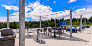 98th Avenue Bothell Gallery 2