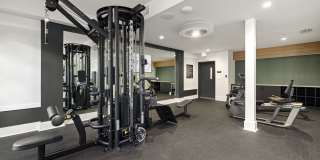 Indigo Stuart Gallery 27