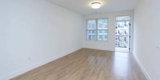 Luna Upper Westside Gallery 80