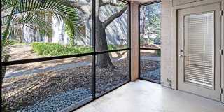 Sabal Palm at Lake Buena Vista Gallery 4