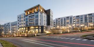 Vine North Hills Gallery 30