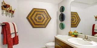 Palisade Park Gallery 10