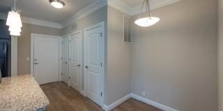 Red Knot at Edinburgh Gallery 8