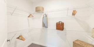 Gladwen Wendell Falls Gallery 42