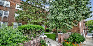 1 Ash place Gallery 1