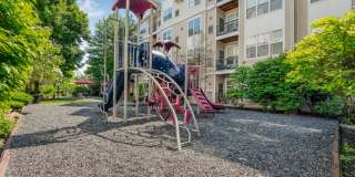 Sofi Lyndhurst Gallery 41