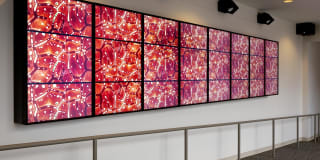 Residences at CityWay Gallery 76