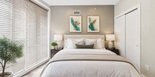 AUGUST 10 Beautiful 4 bed 3 bath home with tons of light and lots of outdoor space!! Gallery 22