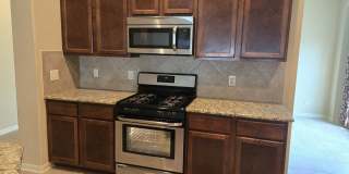 2738 Cinnamon Teal Gallery 7