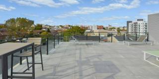 236 THOMPSON Street Gallery 46
