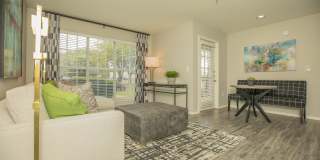 Oak Forest Gallery 27