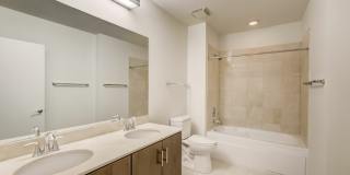 Arrive Lex Gallery 66