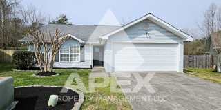 Beautiful 3 Bd - 2 Ba Single Family home in West Knox/Hardin Valley! Gallery 1