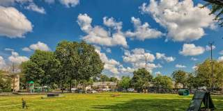 Compass at City Center Gallery 21