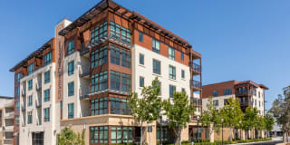 The Flats Cityline The Flats Cityline Gallery 64